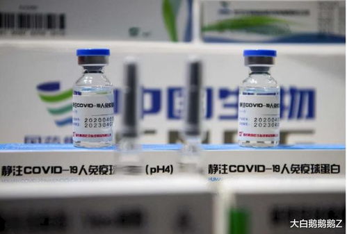 國藥疫苗認證遲滯，澳大利亞留學經濟蒙受重創