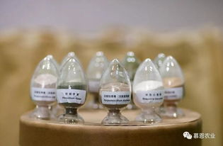 慕恩生物菌肥 領航綠色農業，共創財富未來——全國空白市場特許經銷商火熱招募